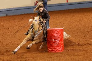 Cavalos de Tambor e Baliza e suas lesões