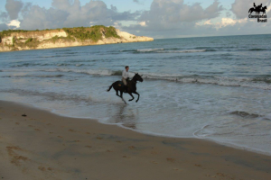 Cavalgada das Praias – Bahia!