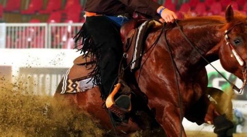 NRHA divulga lista do Professionals Of The Year