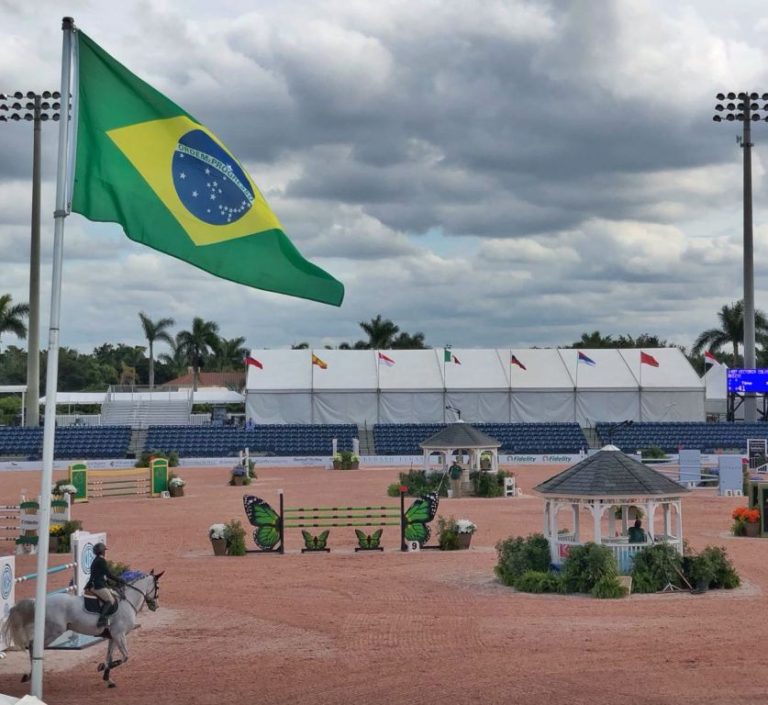 Mais brasileiros premiados no Winter Equestrian Festival