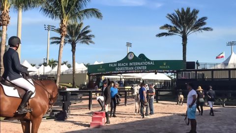 Brasileiros na Flórida para o Winter Equestrian Festival!