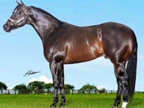 Blackson Cash ganhou importantes as provas do Brasil