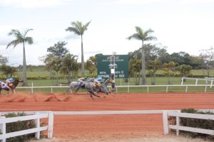 Abertas inscrições para o South America Racing Challenge