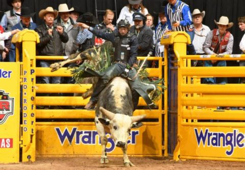 Xtreme Bulls em Rapid City teve seus campeões