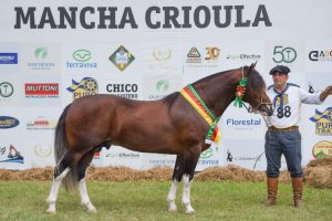 Exposição Nacional de Tobianos, Oveiros e Bragados do cavalo Crioulo