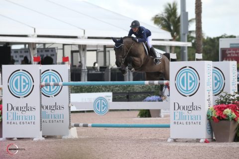 Brasileiros fizeram ‘carnaval’ em Palm Beach