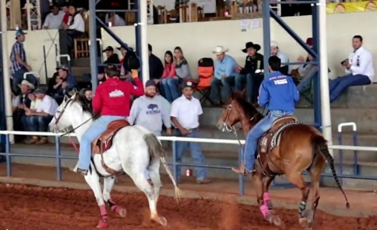Revolution Team Roping espera distribuir premiação total de R$ 500 mil