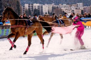 Skijoring! Já ouviu falar desse esporte a cavalo?
