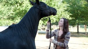 Flicka 3 e uma história de amor e esperança