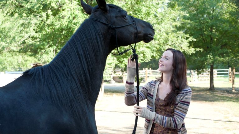Flicka 3 e uma história de amor e esperança