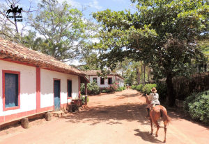 Cavalgada nas fazendas históricas de café de São Paulo e Minas Gerais