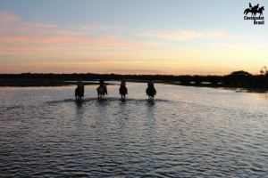 Expedicão Pantanal no coração do ‘Pantanal Sul’