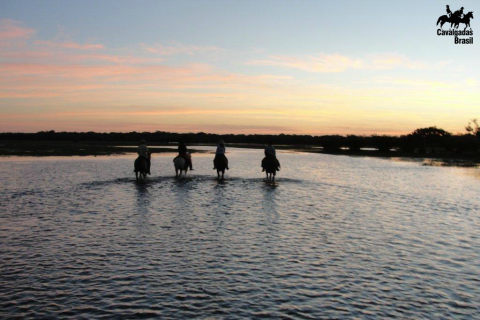 Expedicão Pantanal no coração do ‘Pantanal Sul’