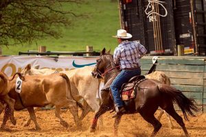 Começou a 19ª temporada da Liga Leste Paulista!