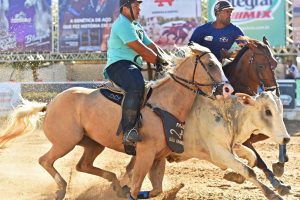 Recorde de cavalos e vaqueiros em evento da ABQM no Nordeste