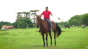 Como pular menos na sela ao trote