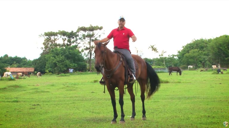 Como pular menos na sela ao trote