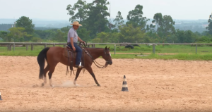 Exercício para apurar o senso de direção