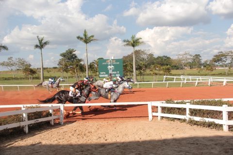 Brasil é destaque na cerimônia do AQHA Racing Champions