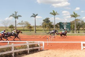 Sucesso total de inscrições na abertura da temporada do Jockey de Sorocaba