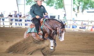 Shawn Flarida foi o campeão do Florida Reining Classic 2018