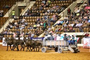 Southeastern Livestock Exposition com etapa valendo pela PRCA