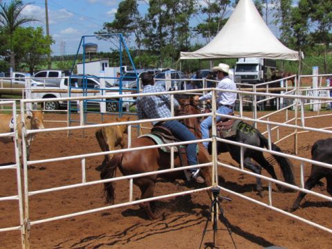 Temporada de Ranch Sorting da RSNC ganha reforços