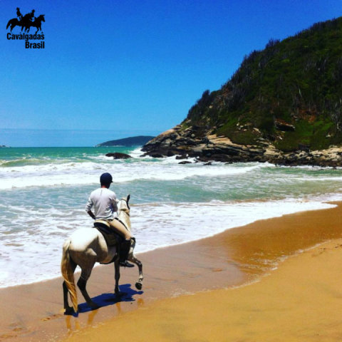 Cavalgada Serra RJ a Búzios