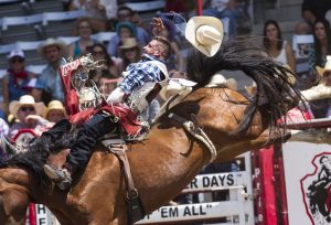 Campeão Mundial do Bareback estará no Brasil para estreia de campeonato