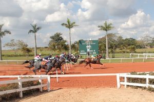 Vai começar a temporada 2019 de Corrida no Jockey de Sorocaba