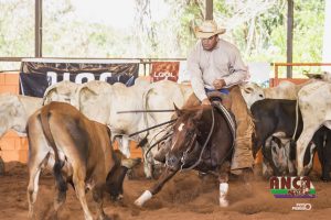 Começou a 3ª etapa do Campeonato Anca