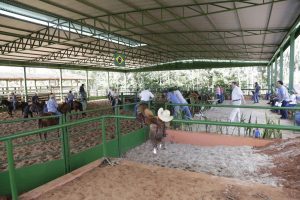 Inauguração da pista coberta do CT Estância da Mata foi com Clínica