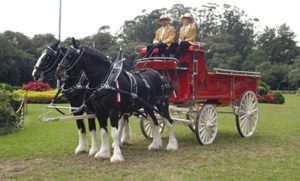 Modo de locomoção e esporte equestre, Atrelagem existe a 4 mil anos