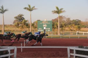 Mais de R$ 200 mil foi a premiação do campeão do GP Brazilian Futurity