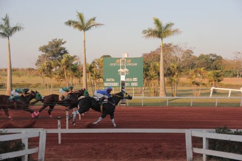 Mais de R$ 200 mil foi a premiação do campeão do GP Brazilian Futurity