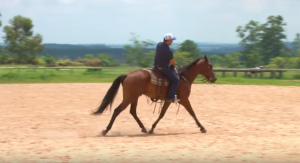 Dois exercícios para melhorar o equilíbrio na sela