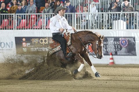 Gennaro Lendi vence mais uma pela NRHA European, dessa vez o Futurity