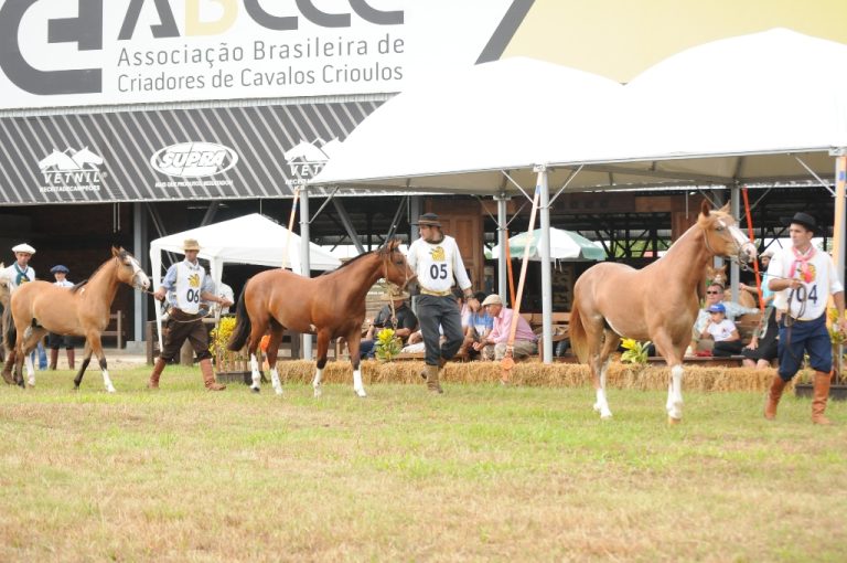 Os proprietários querem saber!