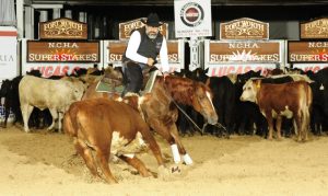 Will Rogers Coliseum segue com programação do NCHA Super Stakes