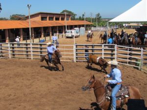 Copa West Wind da RSNC encerrou temporada 2017/2018