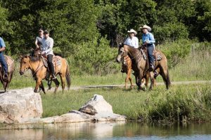 Regras para andar a cavalo na estrada