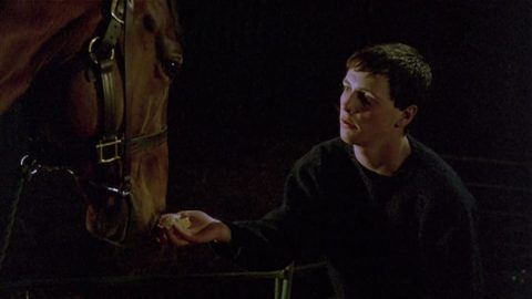 Shergar – Descubra o coração de um campeão