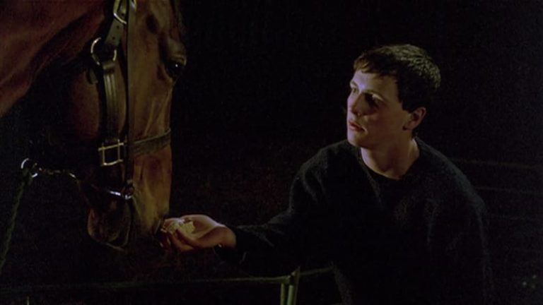 Shergar – Descubra o coração de um campeão