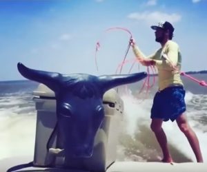 ‘Swingin surf’ é uma mistura entre Wakeboard e Laço