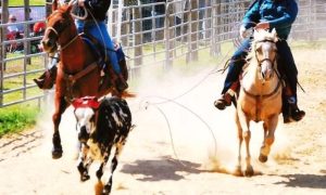 Team Roping da Depressão