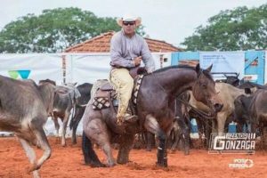 Dúvida do Amador: planilha de juízes – Parte 3!