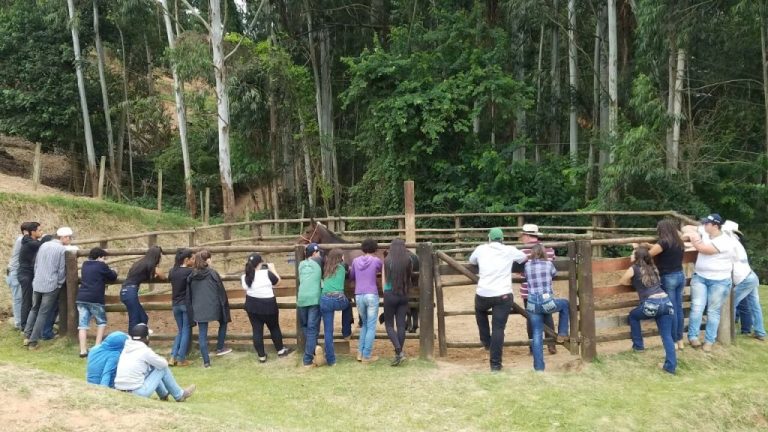 Portal Cavalus é parceiro da Semana da Cultura Equestre de Jundiaí