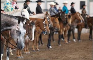 Sete lições aprendidas quando se compete