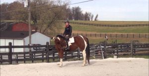 Acalme seu cavalo estando ainda sob a sela