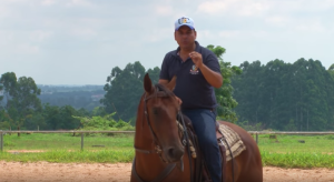 Cavalo que esquenta a boca no galope